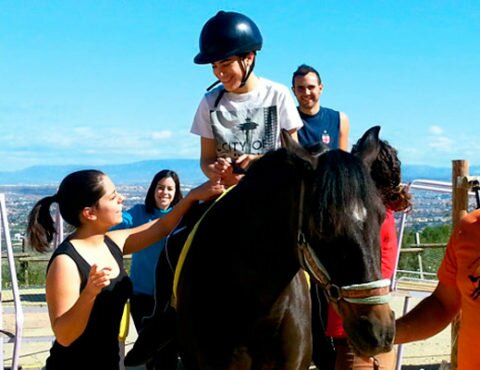 Actividad 2: Terapia asistida con caballos